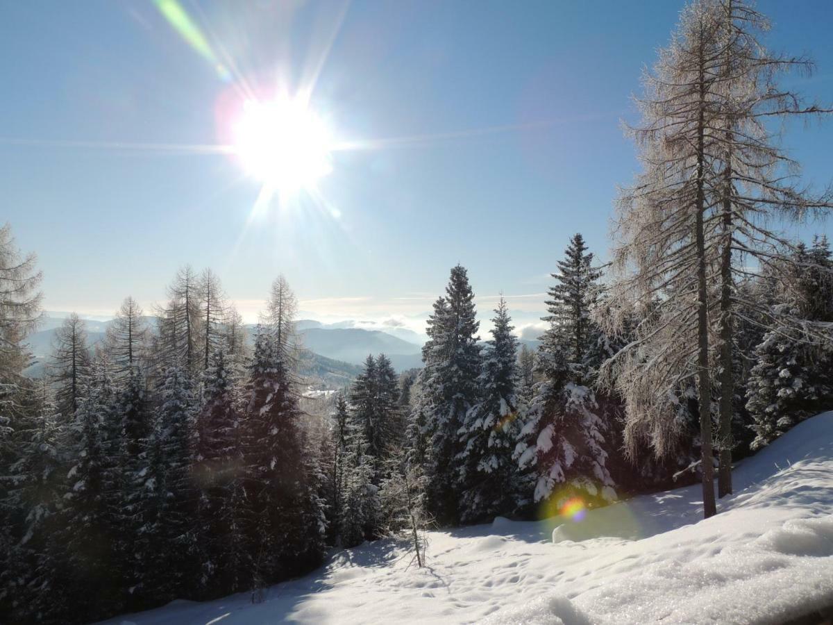 Villa-Alpenblick Hochrindl Eksteriør bilde